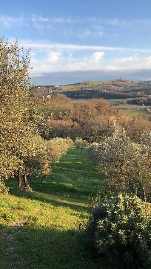 Casa de Férias Il Capanno Vila Asciano